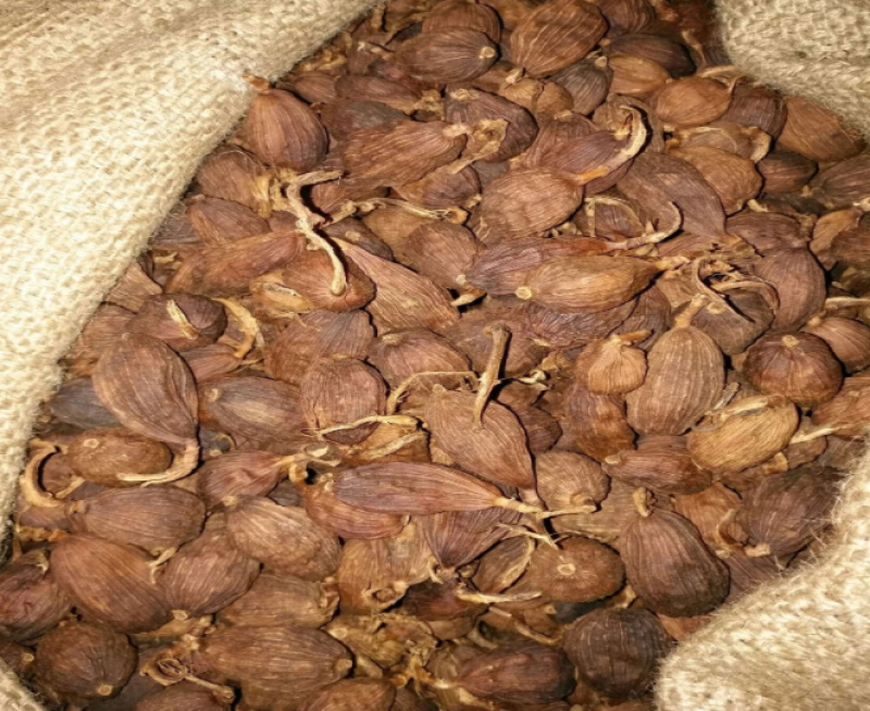 大量云南怒江福贡干草果