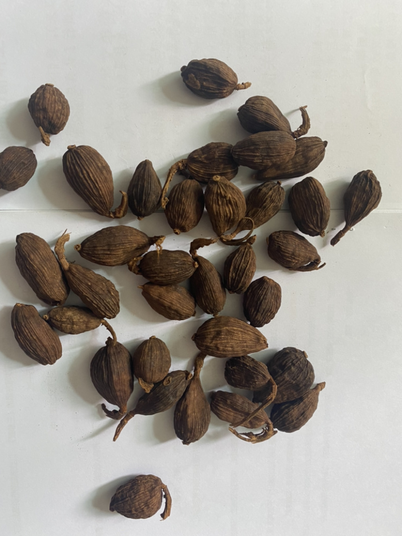 大量云南怒江福贡干草果