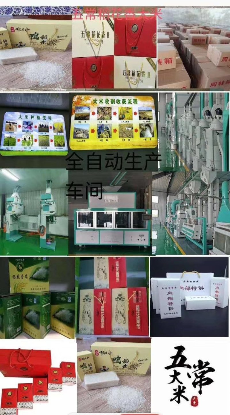 稻花香，黑龙江省五常市孝德商贸有限公司，常年批发零售