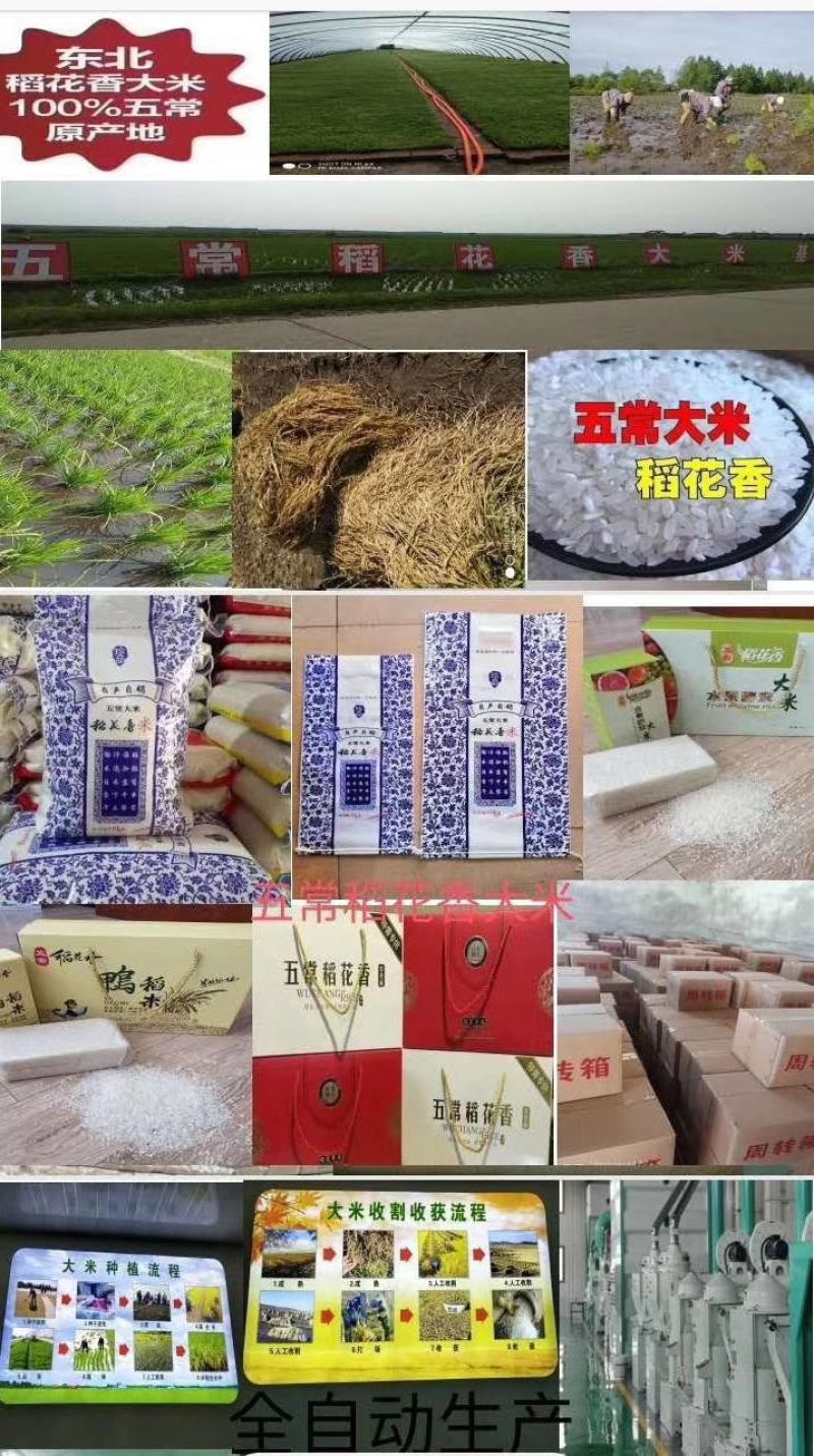 稻花香，黑龙江省五常市孝德商贸有限公司，常年批发零售