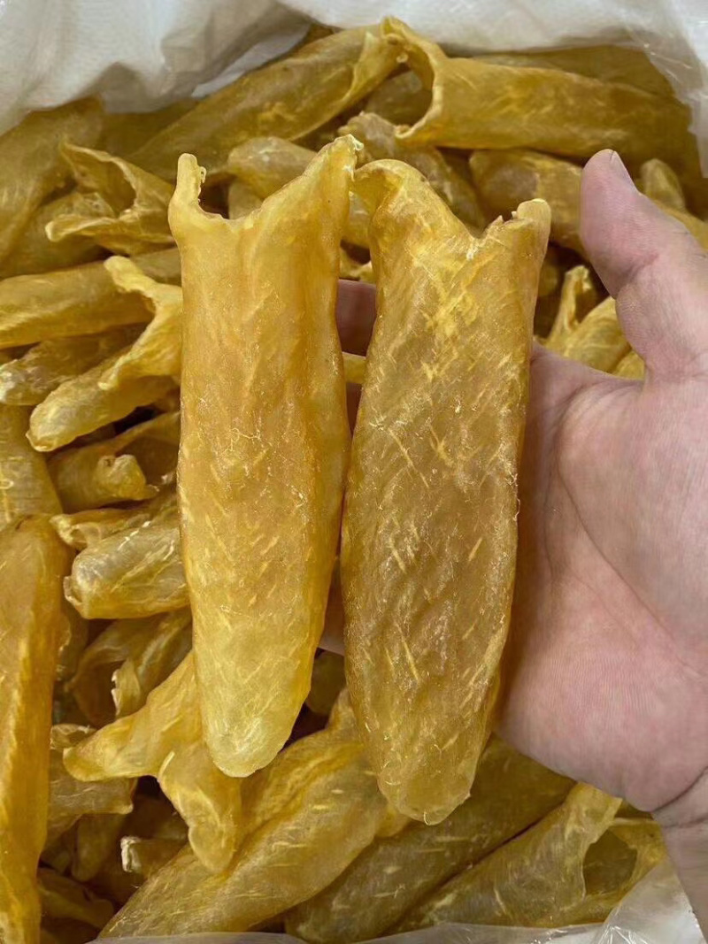 足干黄花胶各头数齐全（量大从优）
