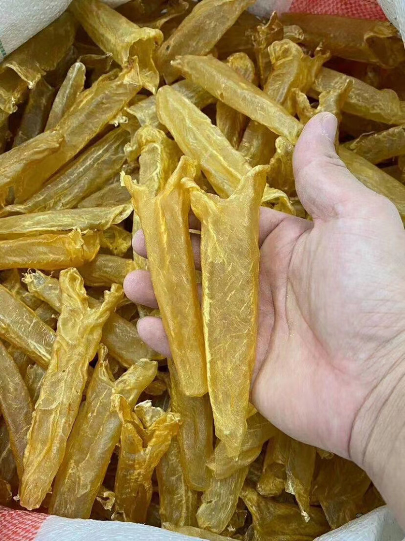 足干黄花胶各头数齐全（量大从优）
