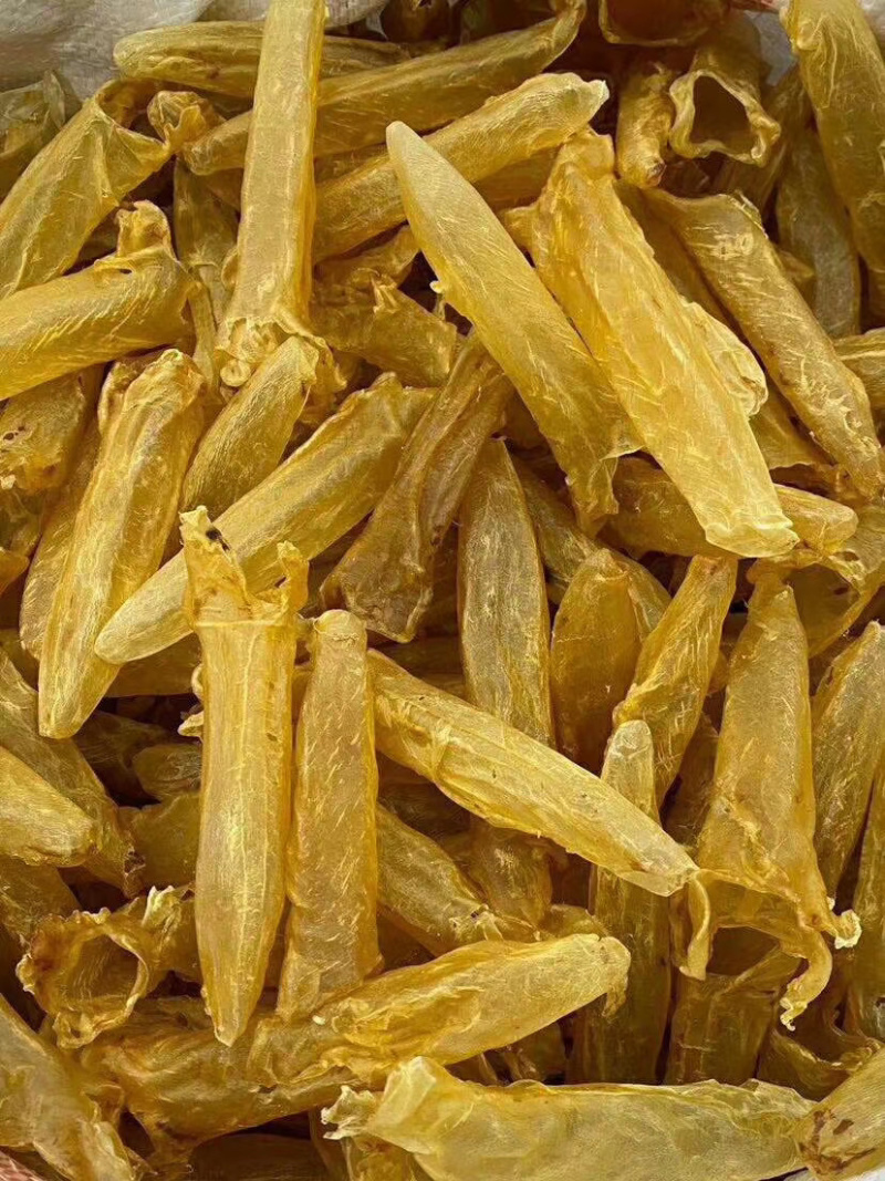 足干黄花胶各头数齐全（量大从优）
