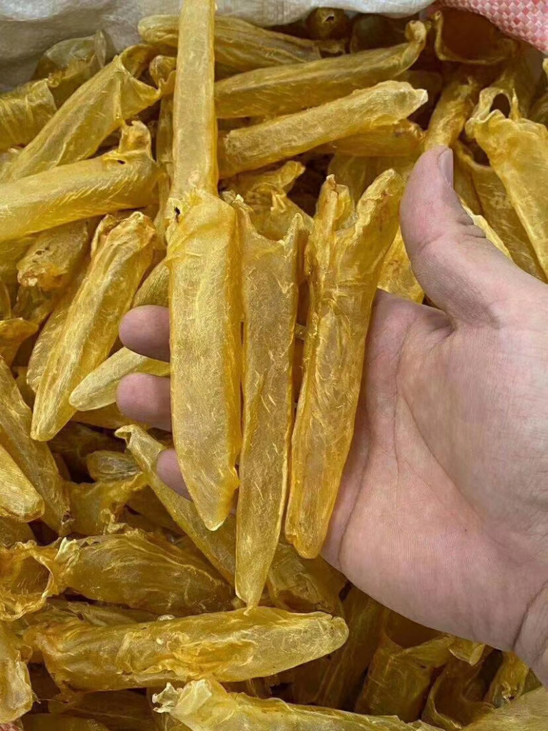 足干黄花胶各头数齐全（量大从优）