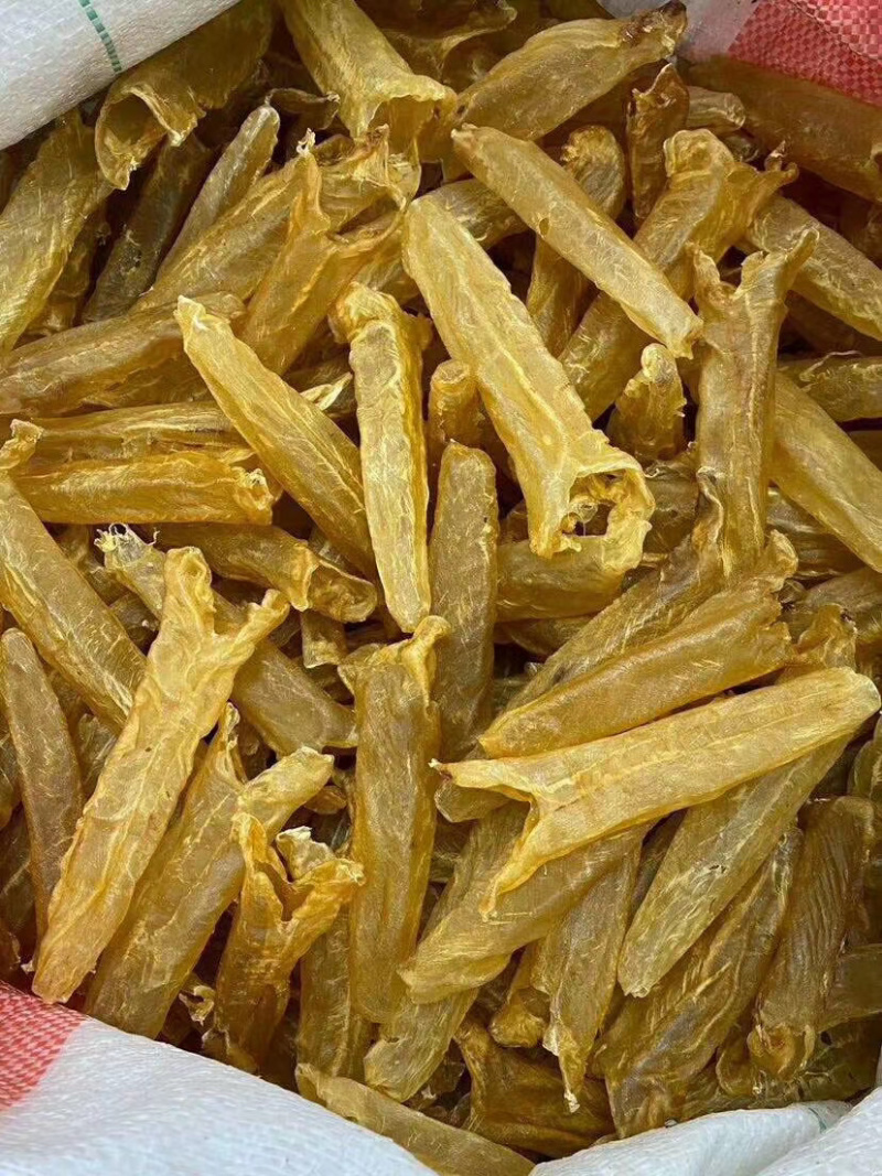 足干黄花胶各头数齐全（量大从优）