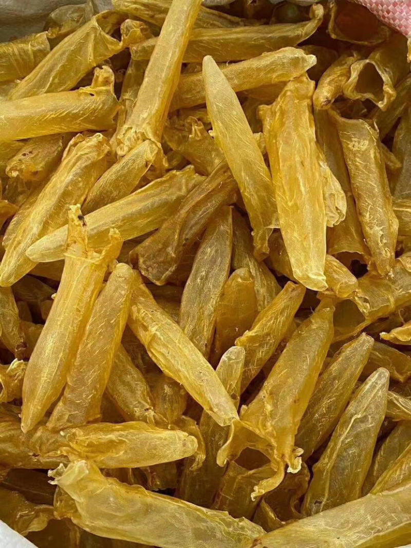 足干黄花胶各头数齐全（量大从优）