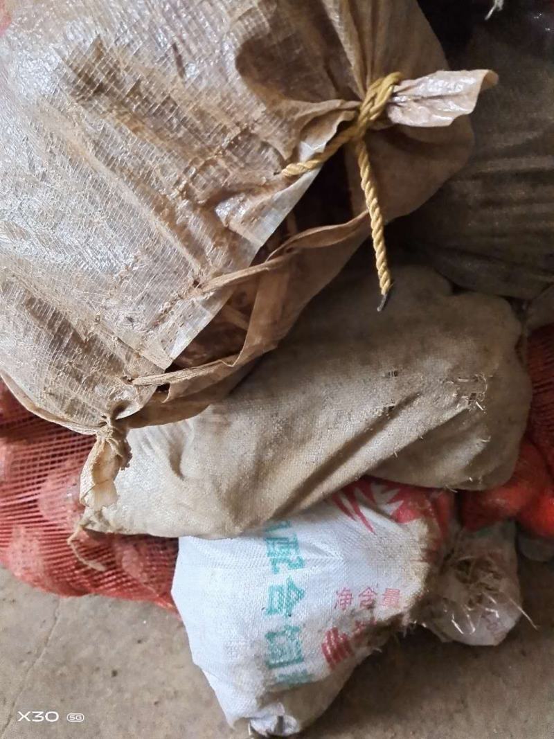 【精品】鲜货正宗魔芋产地直供保质保量量大从优，支持