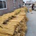 【热卖中】河北麻山药产地直达供应商超批发市场大量供货