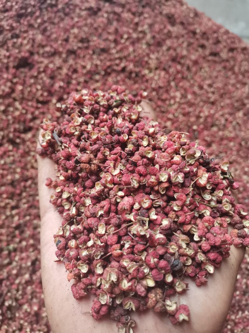 陕西花椒韩城大红袍花椒颗粒纯净货，可开发票，欢迎咨询