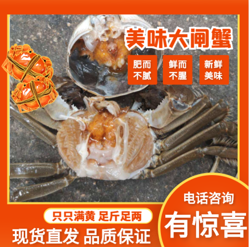 优质湖北河蟹鲜冻湖北河蟹个个满黄满膏保质保量
