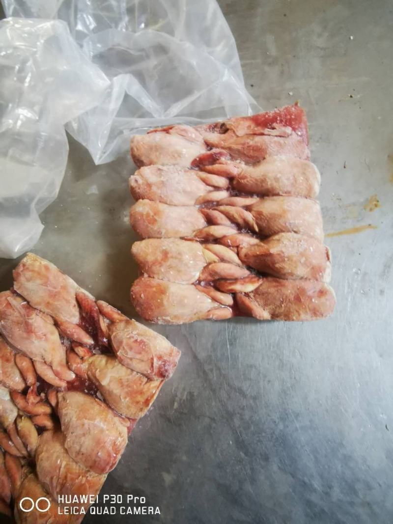 鹌鹑，放血鹌鹑，不放血鹌鹑厂家直接发货，