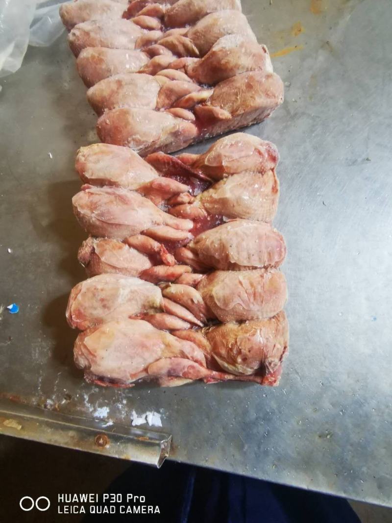 鹌鹑，放血鹌鹑，不放血鹌鹑厂家直接发货，
