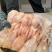 鹌鹑，放血的，不放血的，厂家直接发货，长期有货，