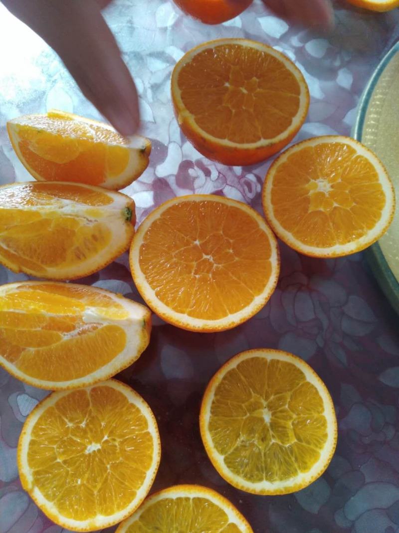 【热销】九月红脐橙秭归脐橙果冻橙口感纯甜价格优