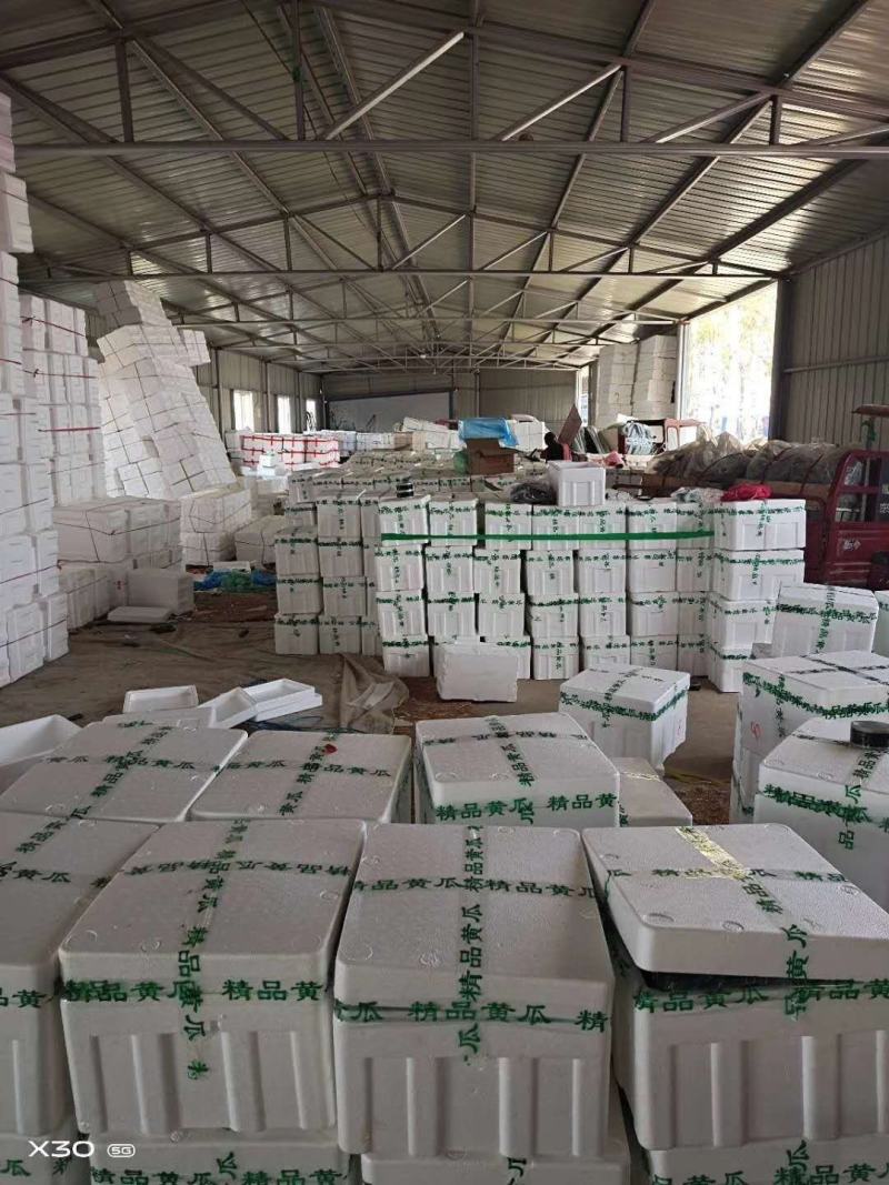 寿光精品蔬菜，品种齐全，一手货源，现摘现装，当天发车