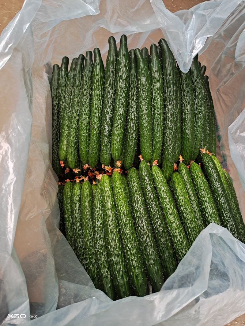 寿光精品蔬菜，品种齐全，一手货源，现摘现装，当天发车
