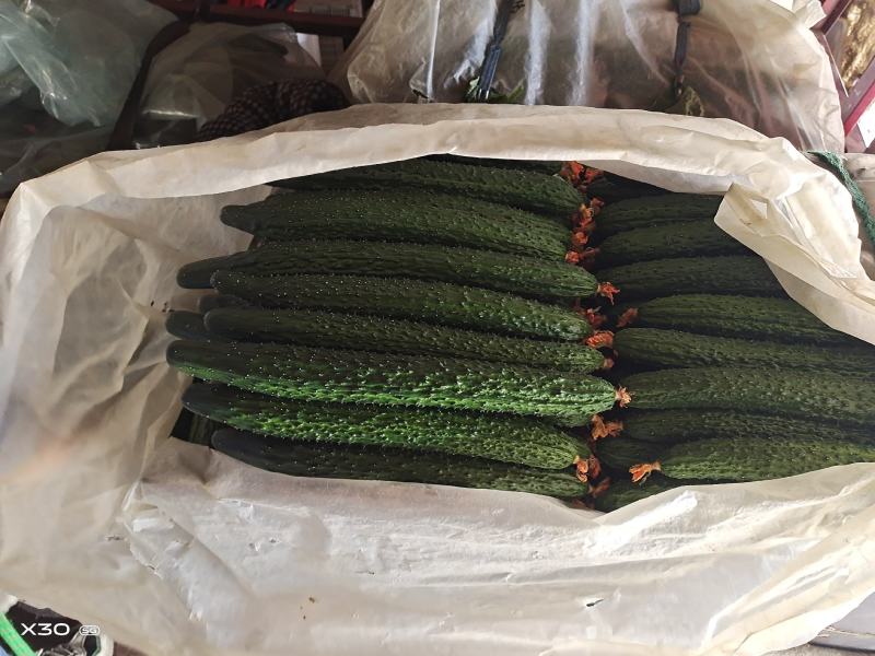 寿光精品蔬菜，品种齐全，一手货源，现摘现装，当天发车