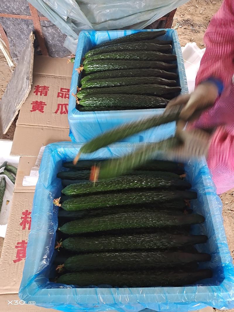 寿光精品蔬菜，品种齐全，一手货源，现摘现装，当天发车