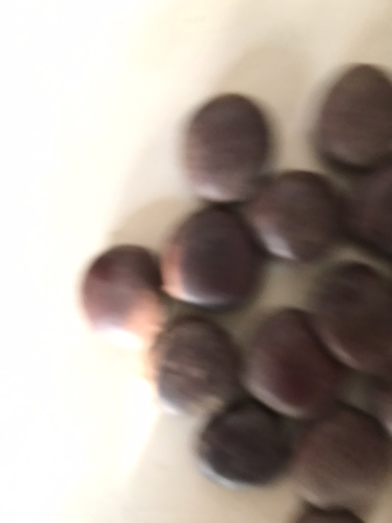 木腰子保庆药业批发阴阳子过江龙子木腰子