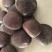 木腰子保庆药业批发阴阳子过江龙子木腰子