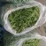 茼蒿，质量好，品质保证