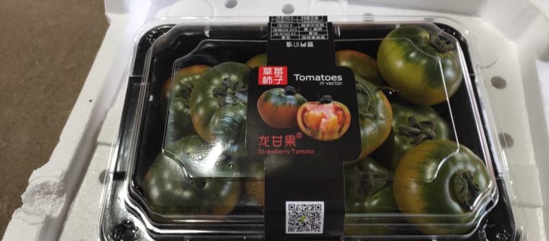 碱地西红柿柿子铁皮柿子碱大量上市口感香甜保质保量欢迎选购