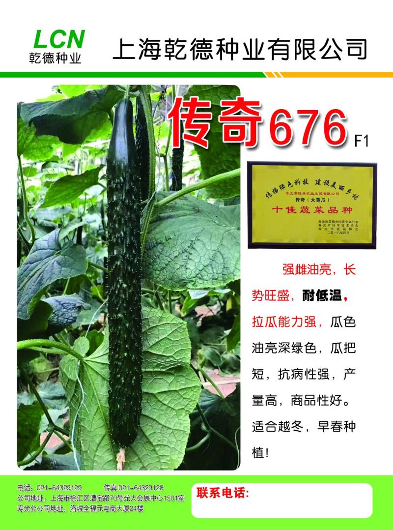 寿光越冬耐寒传奇676强雌油亮型黄瓜种子1000粒/袋