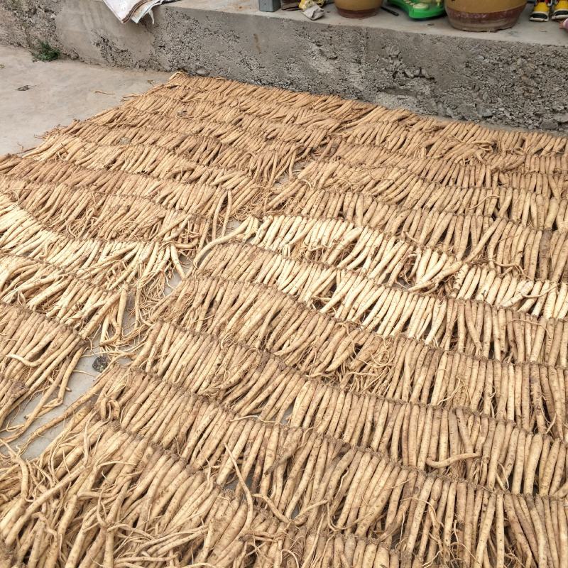 甘肃岷县新货干党参，纯手工自然晾晒，一手货源，规格齐全。