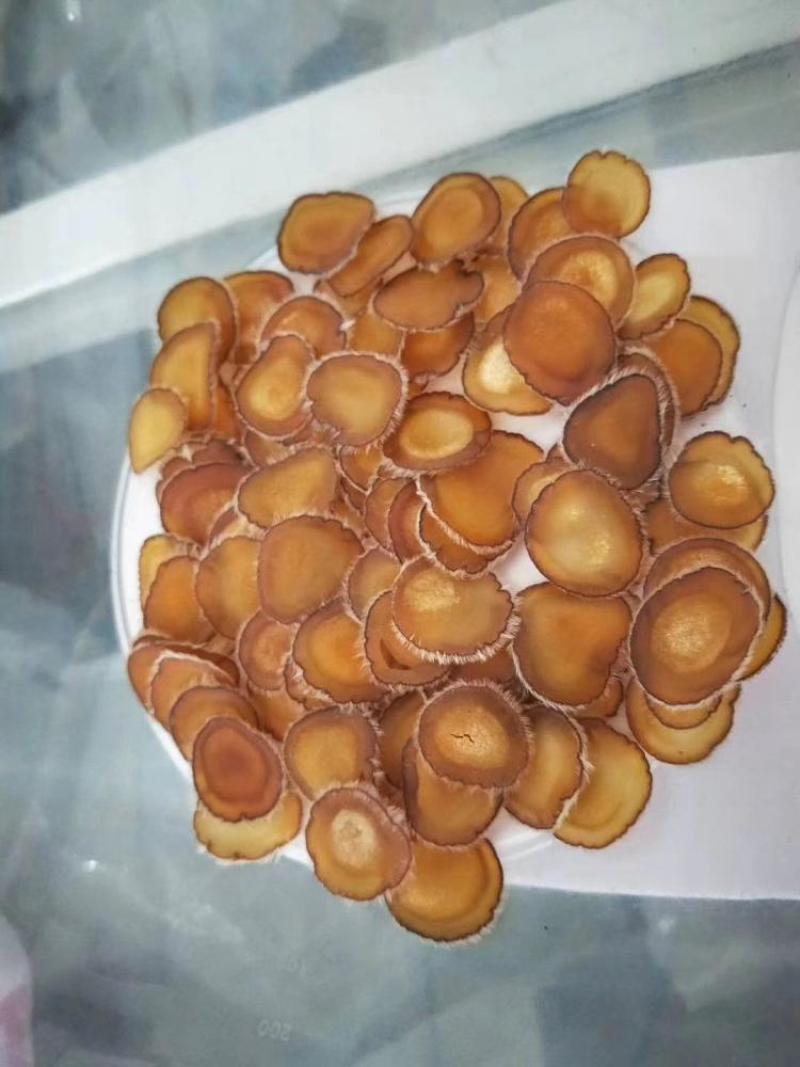 梅花鹿片，血片红粉片白粉片，【包邮】可一件代发一手货源