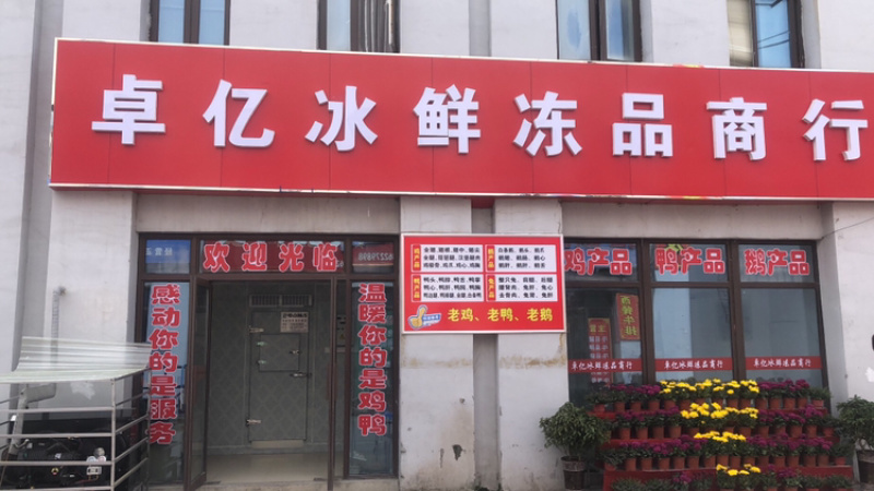 卓亿冰鲜冻品优级白条鸭，安全食品，质量保证！