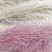 芦苇花/蒲苇花/野生芦苇花/产地芦苇/芦苇/蒲苇