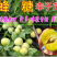 【保真苗】蜂糖李子苗地栽四季种植果树嫁接特大当年结果