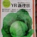 甘蓝苗圆包菜苗基地一手货源，苗子粗壮，根须发达，成活率高