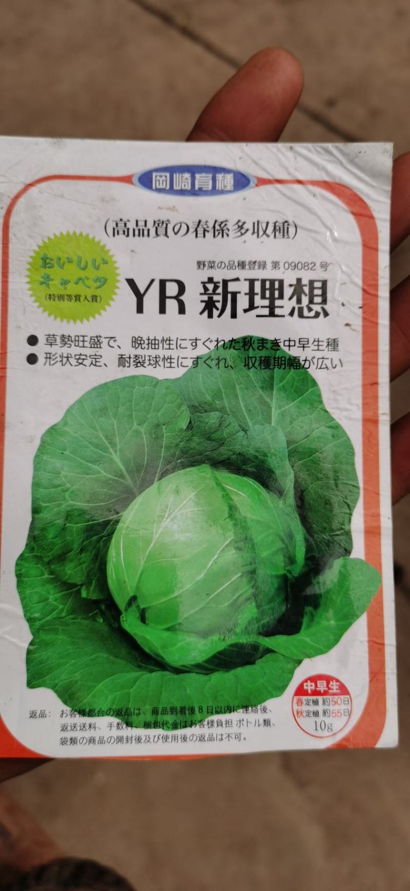 甘蓝苗圆包菜苗基地一手货源，苗子粗壮，根须发达，成活率高