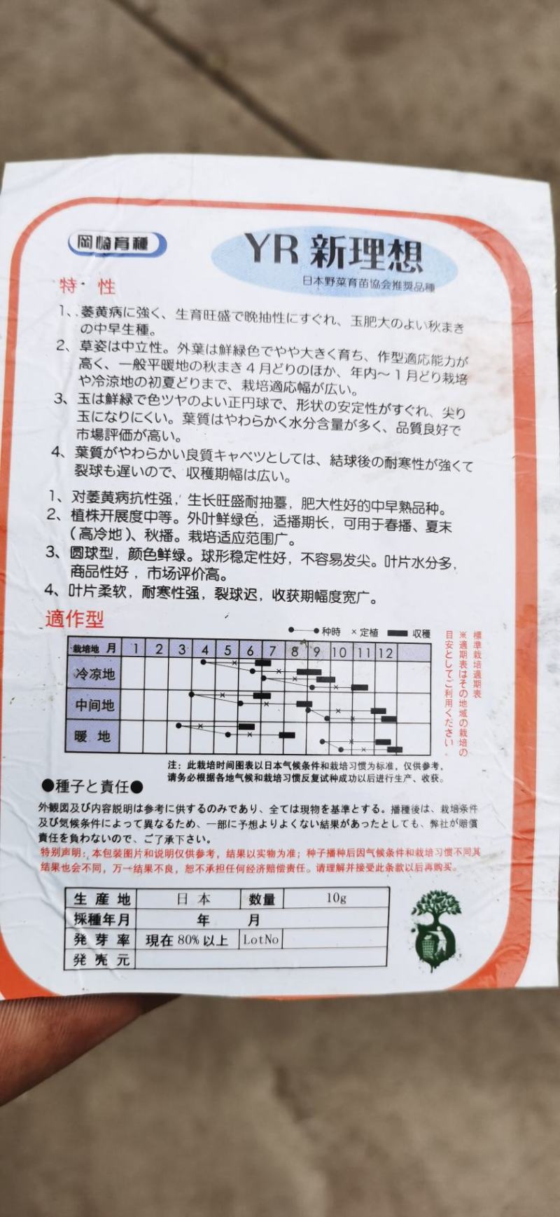 甘蓝苗圆包菜苗基地一手货源，苗子粗壮，根须发达，成活率高