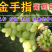 【保真苗】金手指葡萄苗地栽四季种植果树嫁接特大当年结果