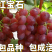【保真苗】红宝石葡萄苗地栽四季种植果树嫁接特大当年结果