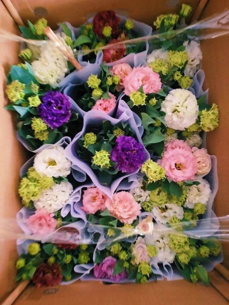 玫瑰花，洋玫瑰，欧耶（5种颜色可以拼装）
