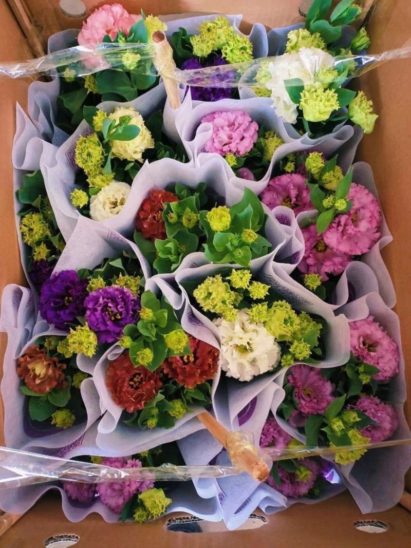玫瑰花，洋玫瑰，欧耶（5种颜色可以拼装）