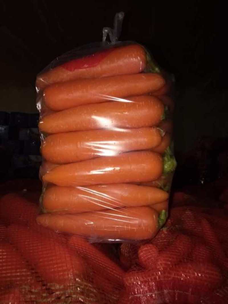 开封县通许胡萝卜长年有货产地发货一手货源品质保证