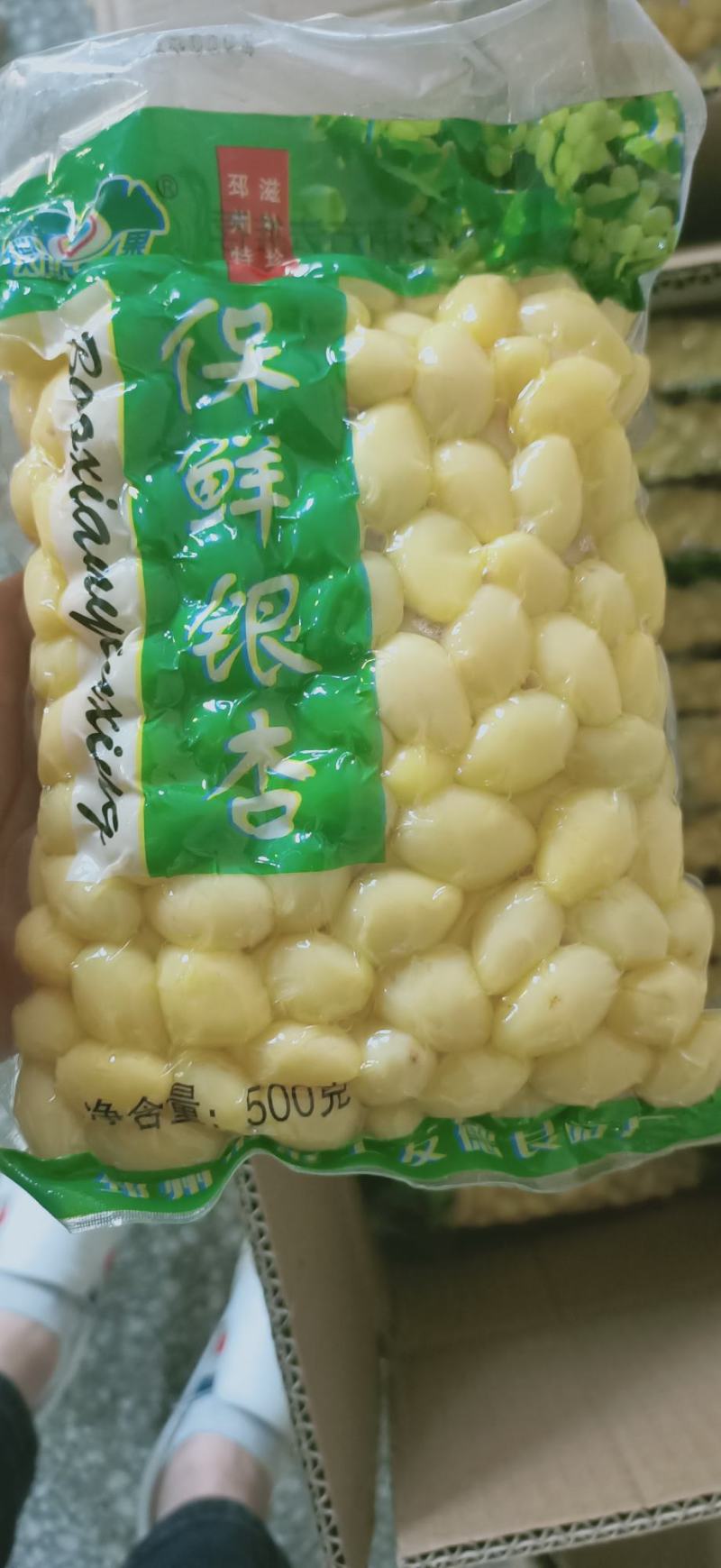 产地直销优质保鲜银杏果仁，白果米子，产地直销