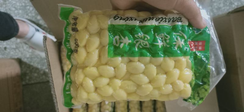 产地直销优质保鲜银杏果仁，白果米子，产地直销