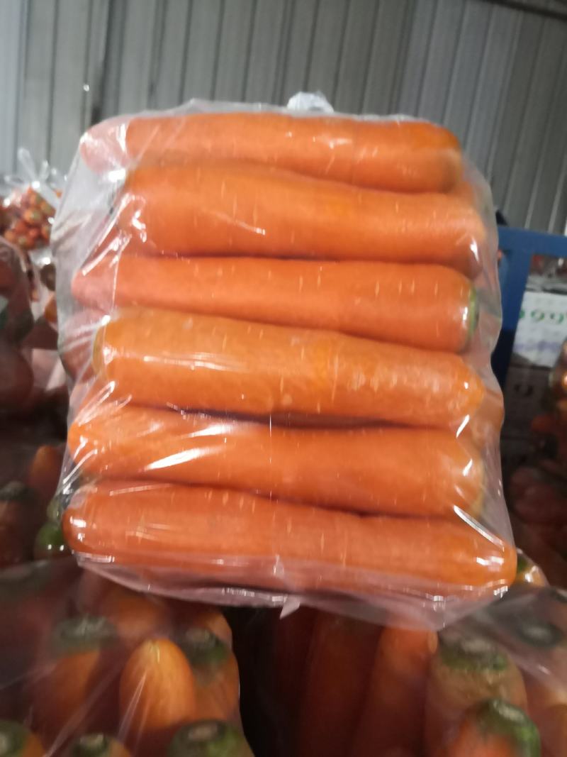 开封县通许胡萝卜长年有货产地发货一手货源品质保证
