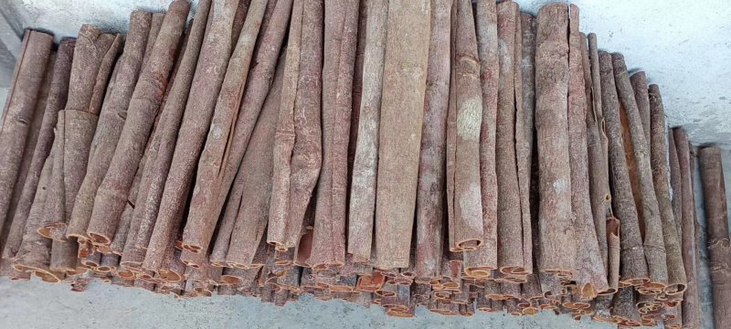 1斤起发桂皮中通选通大通肉桂烟桂黄通桂段新货全干产地直销