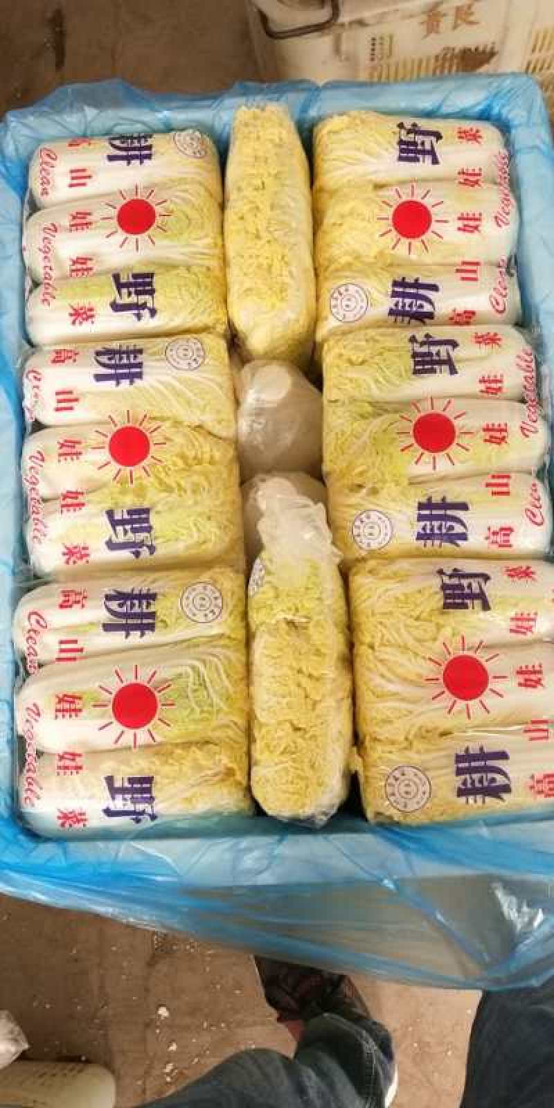 兰州，精品黄心娃娃菜，无烧心，无虫眼，无嘛点，颜色鲜嫩！