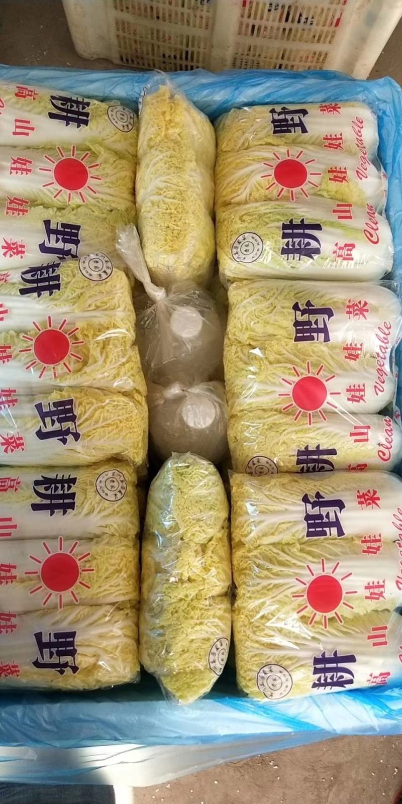 兰州，精品黄心娃娃菜，无烧心，无虫眼，无嘛点，颜色鲜嫩！