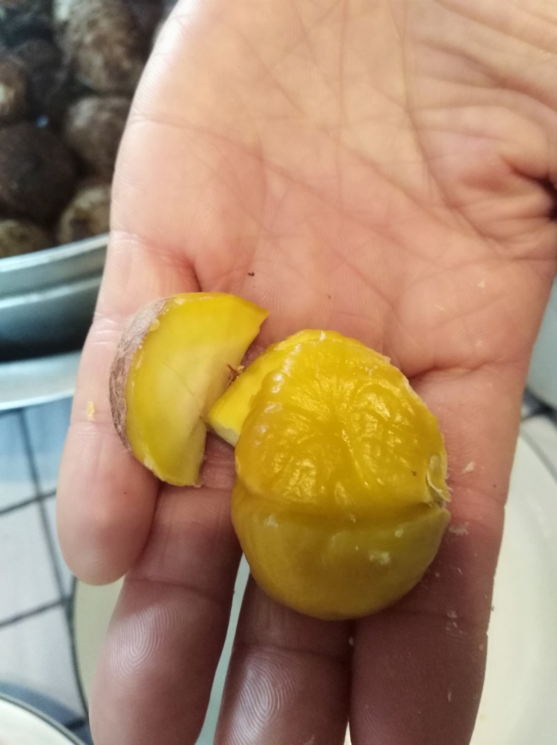 糖炒栗子用板栗生新鲜山东河北油栗软糯香甜质量保证一件代发
