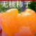 【保真苗】无核柿子苗地栽四季种植果树嫁接特大当年结果