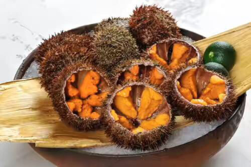 200克海胆肉，马粪海胆，飘烫海胆肉，大量订货价格可议