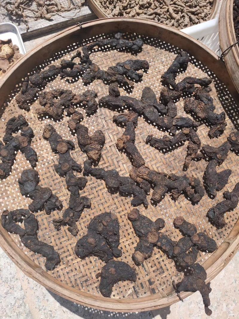 广西金秀大瑶山野生黄精九蒸九晒清香甘甜肉质嫩无添加